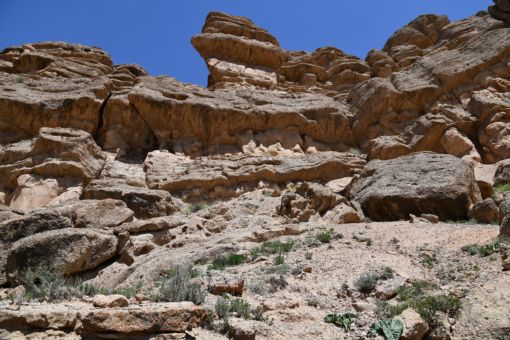 Мадыген, image of landscape/habitat.