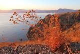 Image of landscape