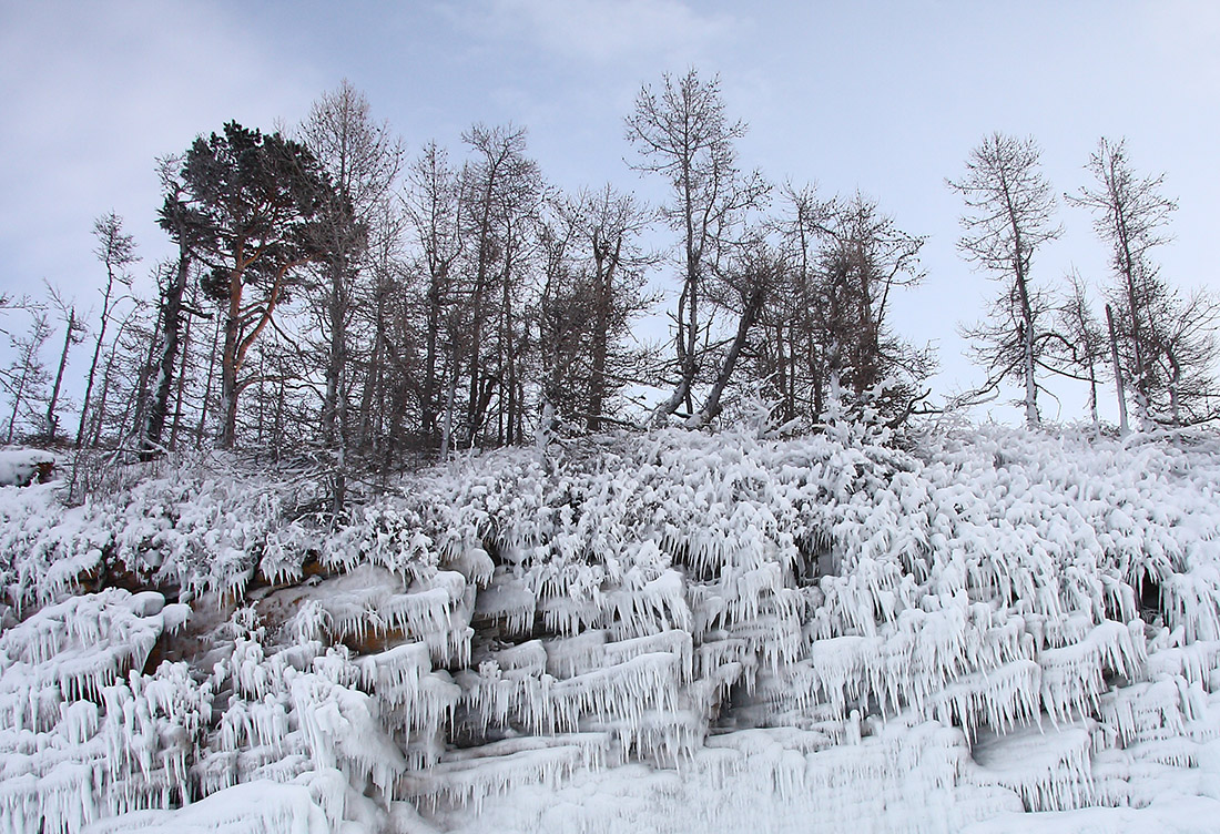 Мыс Уюга, image of landscape/habitat.