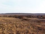 Image of landscape