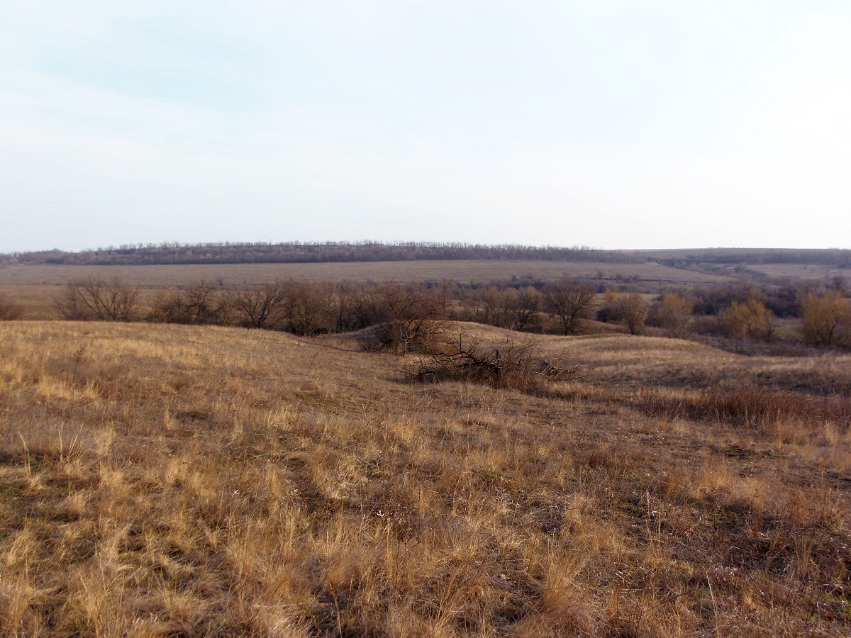 Балка Партизанская, изображение ландшафта.