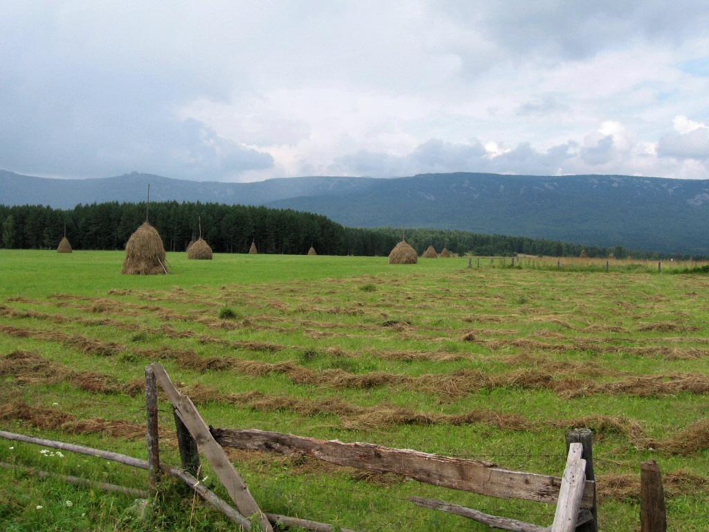 Зигальга, image of landscape/habitat.