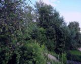 Image of landscape