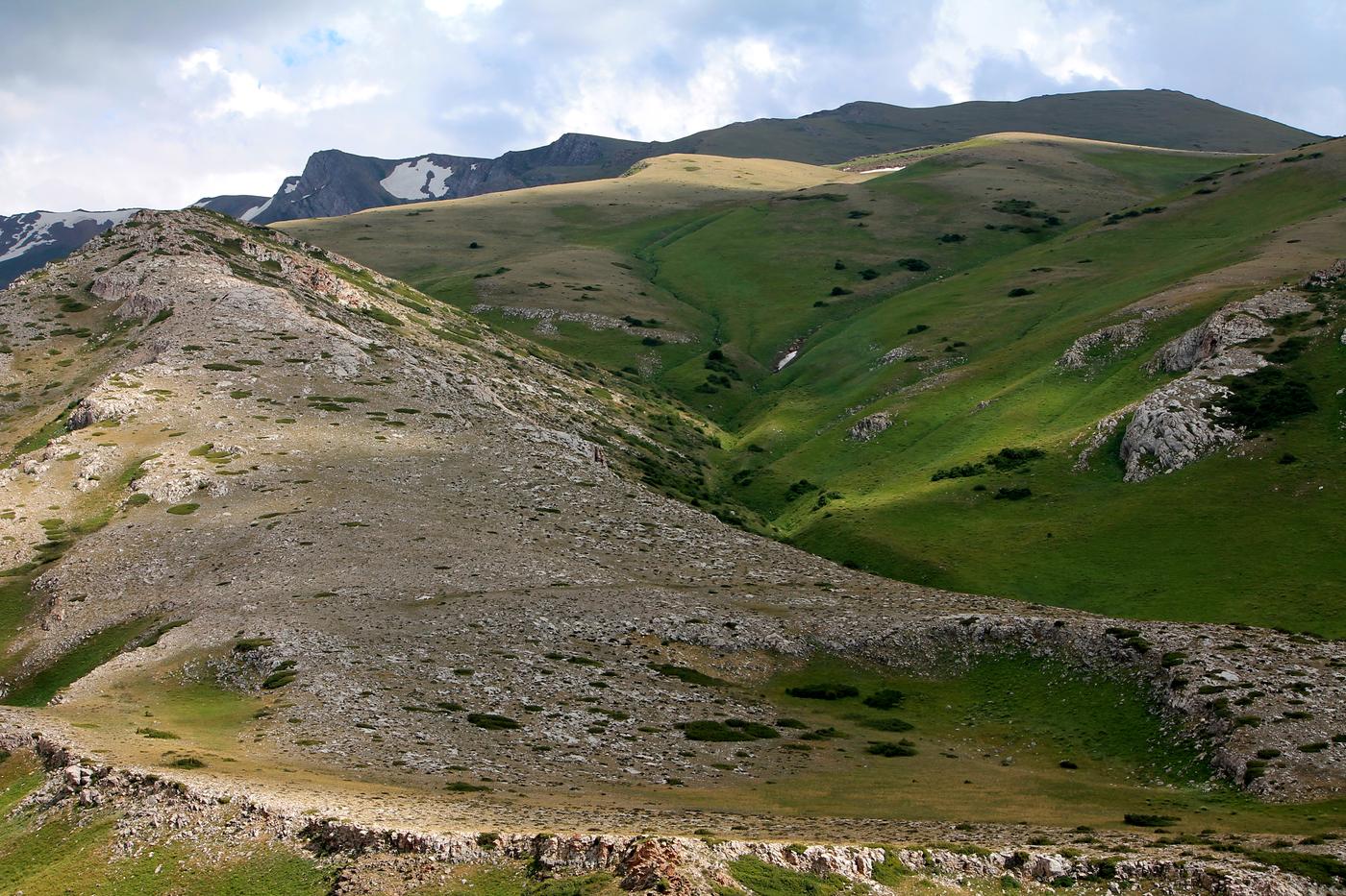 Окрестности с. Жабаглы, image of landscape/habitat.