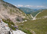 Оштен, image of landscape/habitat.