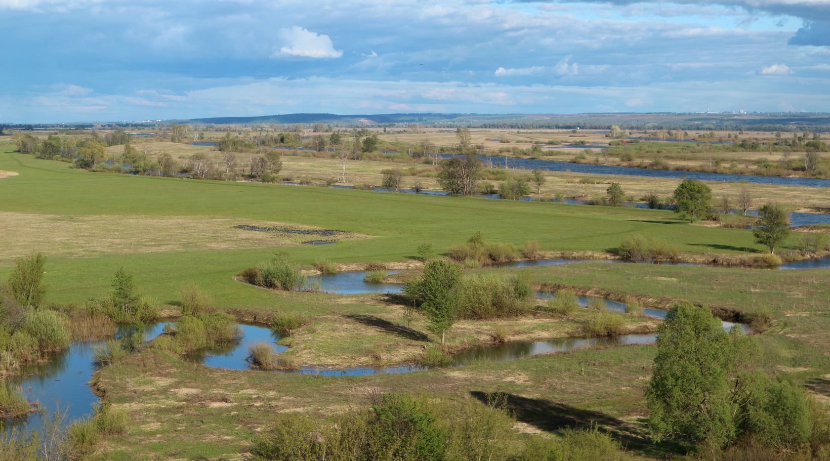 Танаевские луга, image of landscape/habitat.