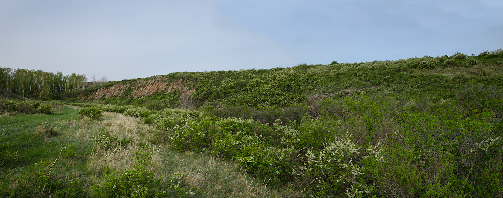 Каменка, image of landscape/habitat.