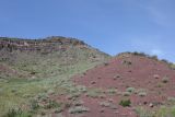Image of landscape