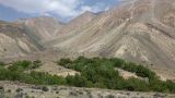 Image of landscape