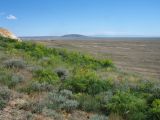 Image of landscape