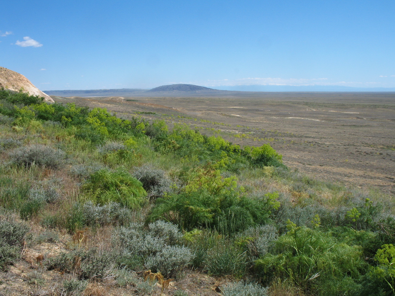 Кеин-Кериш, image of landscape/habitat.