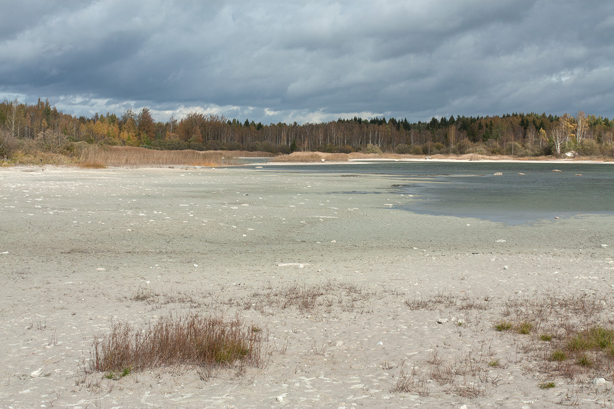 Кюрлевский карьер, image of landscape/habitat.