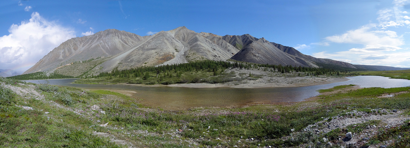 Озеро Кытын-Кюэль, image of landscape/habitat.