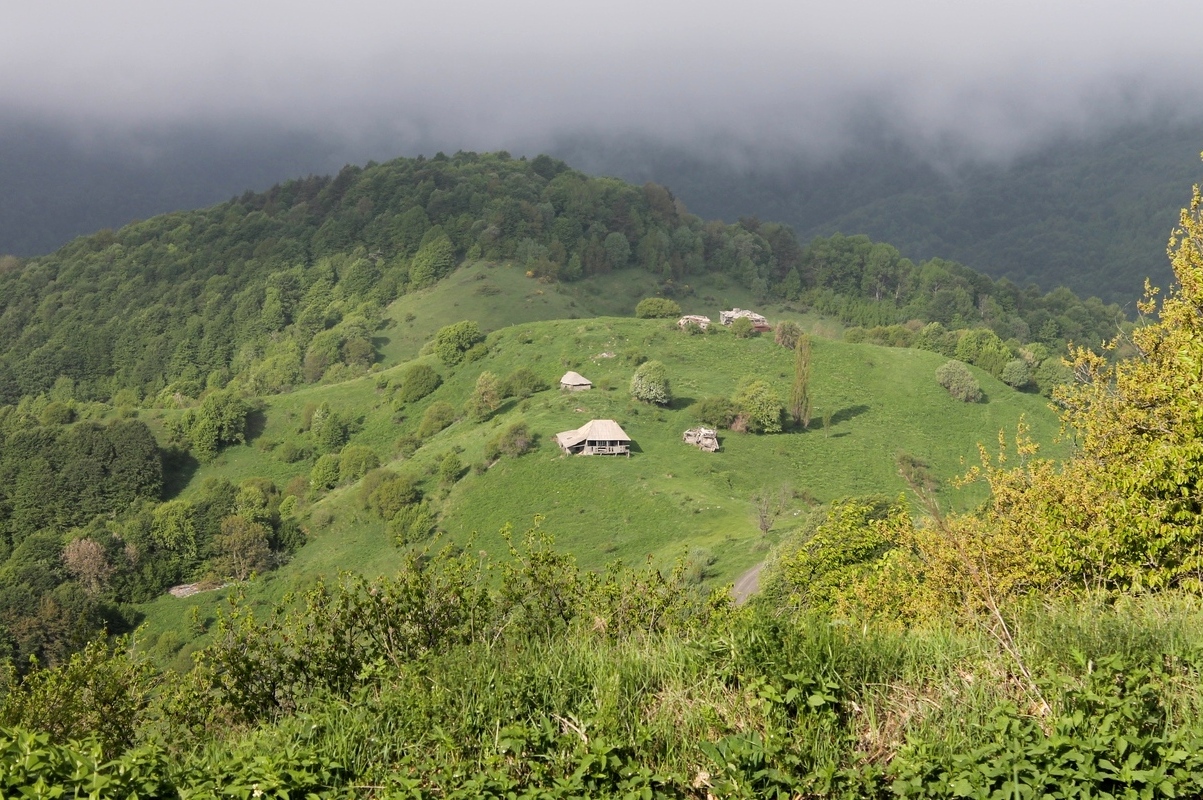 Джеры дзуар, image of landscape/habitat.