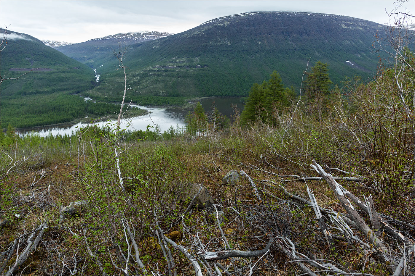 Долина Курейки, image of landscape/habitat.