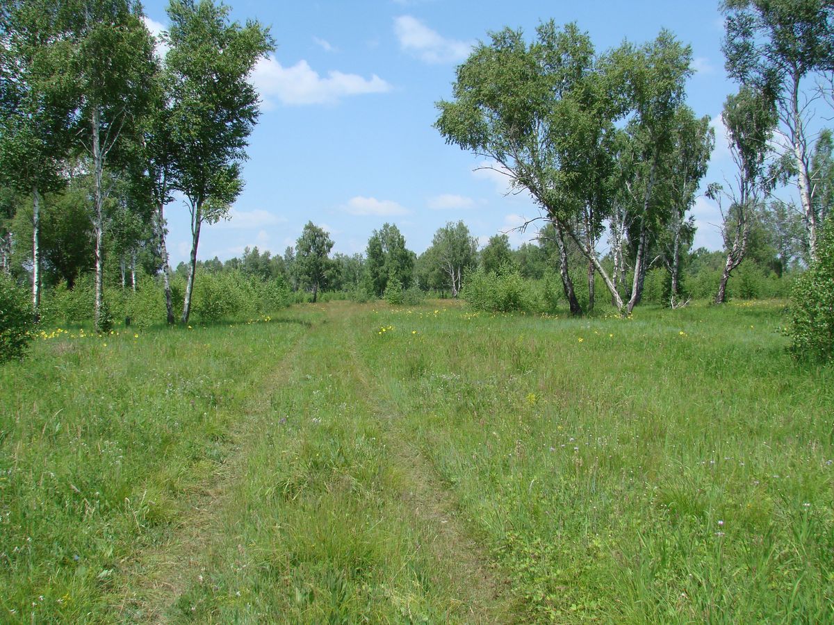 Остров Беляева, image of landscape/habitat.