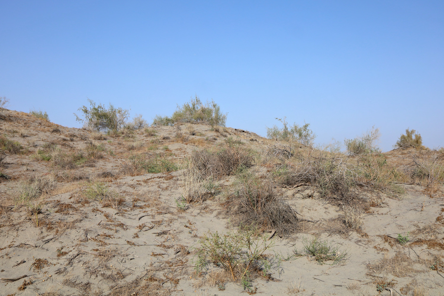 Пески Язъяван, Язъяванский район, image of landscape/habitat.