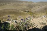 Image of landscape
