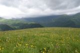 Image of landscape
