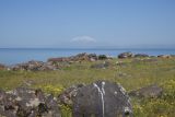 Image of landscape