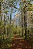 Дудергофские высоты, image of landscape/habitat.