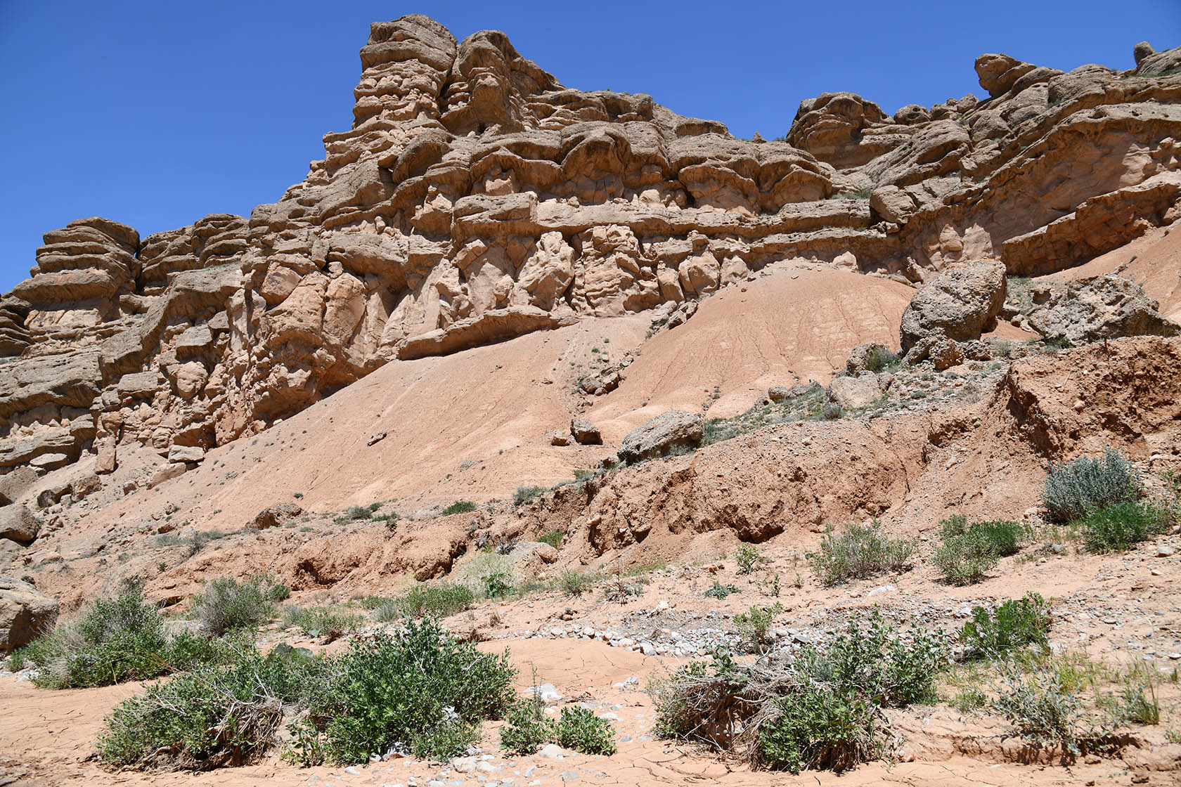 Мадыген, image of landscape/habitat.
