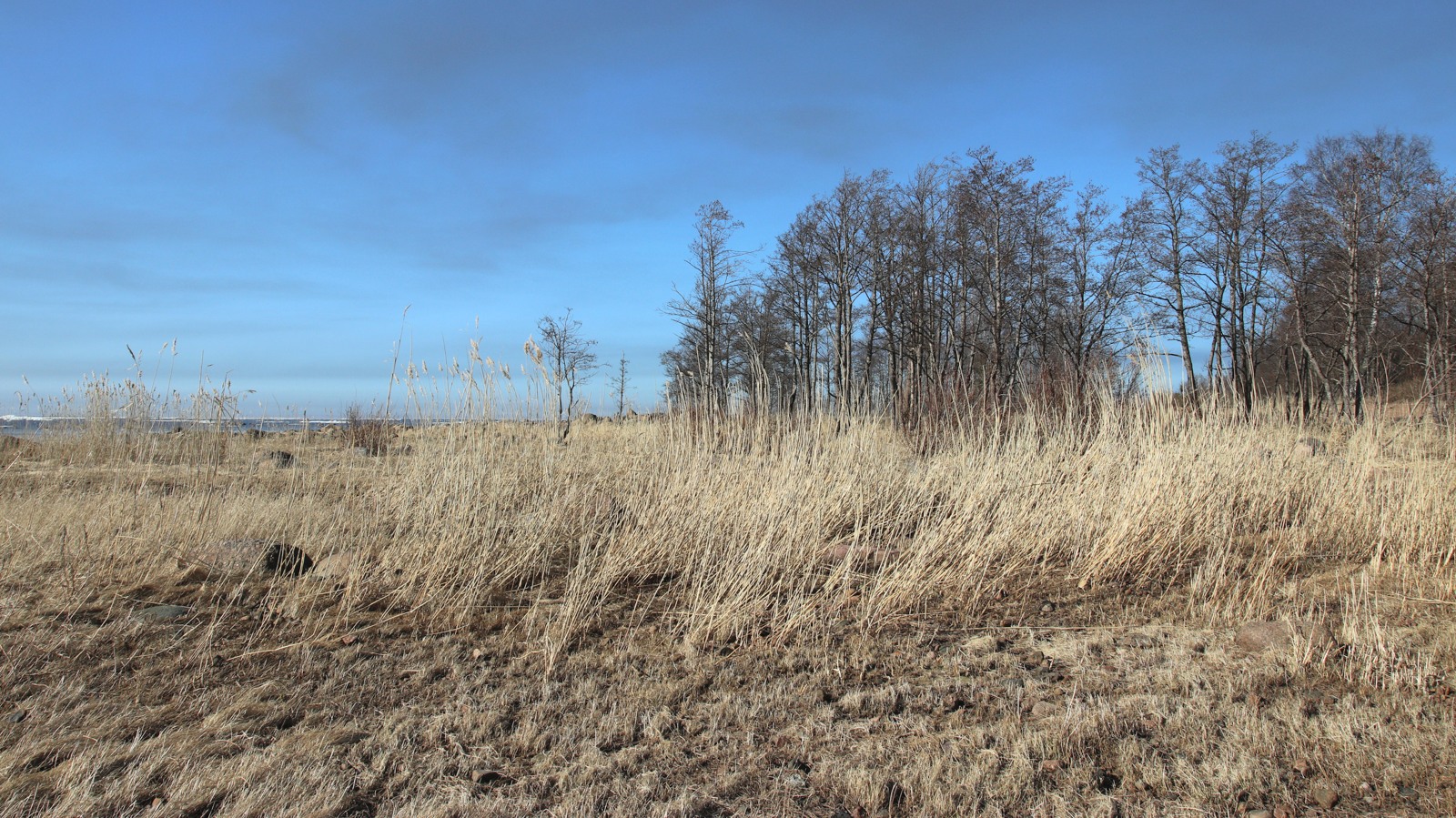 Каравалдай, image of landscape/habitat.