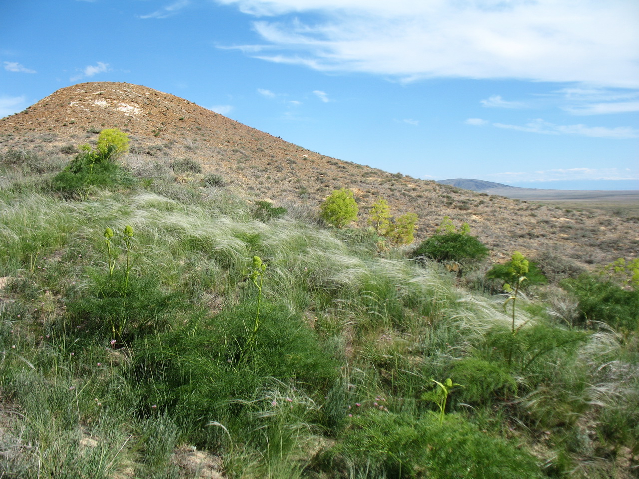 Кеин-Кериш, image of landscape/habitat.