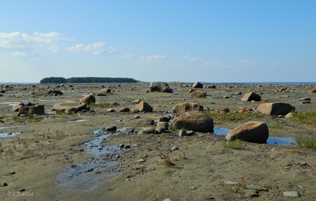 Унежма, image of landscape/habitat.