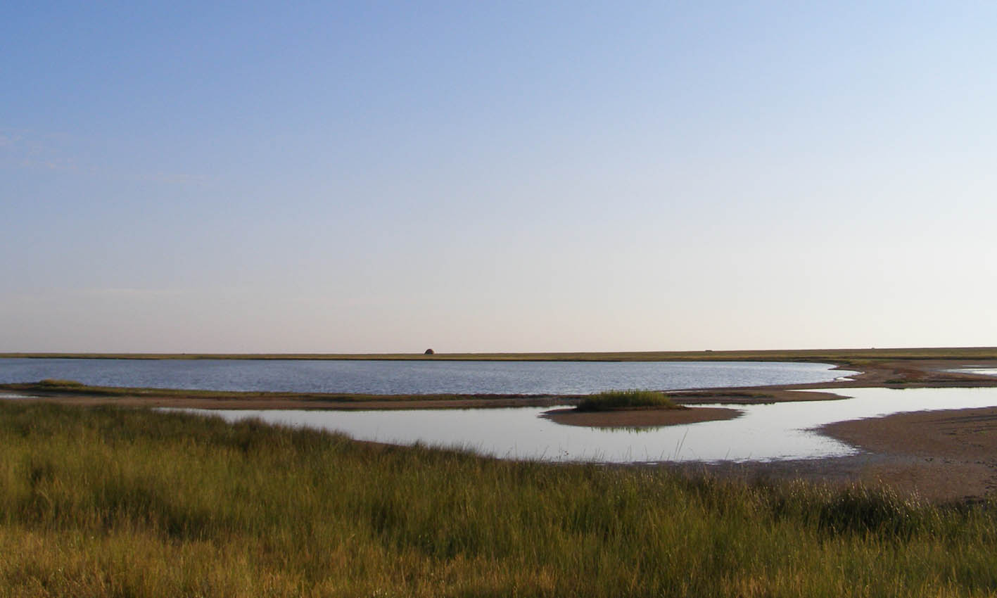 Коса Бирючий остров, image of landscape/habitat.