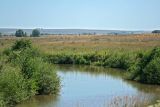 Картапа, image of landscape/habitat.