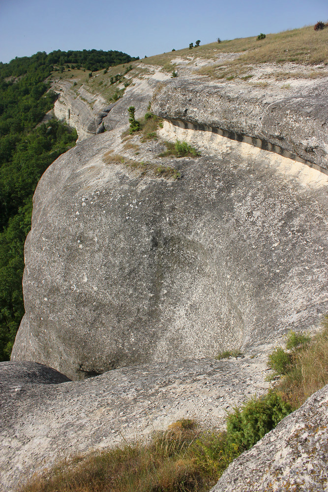 Белокаменное, image of landscape/habitat.