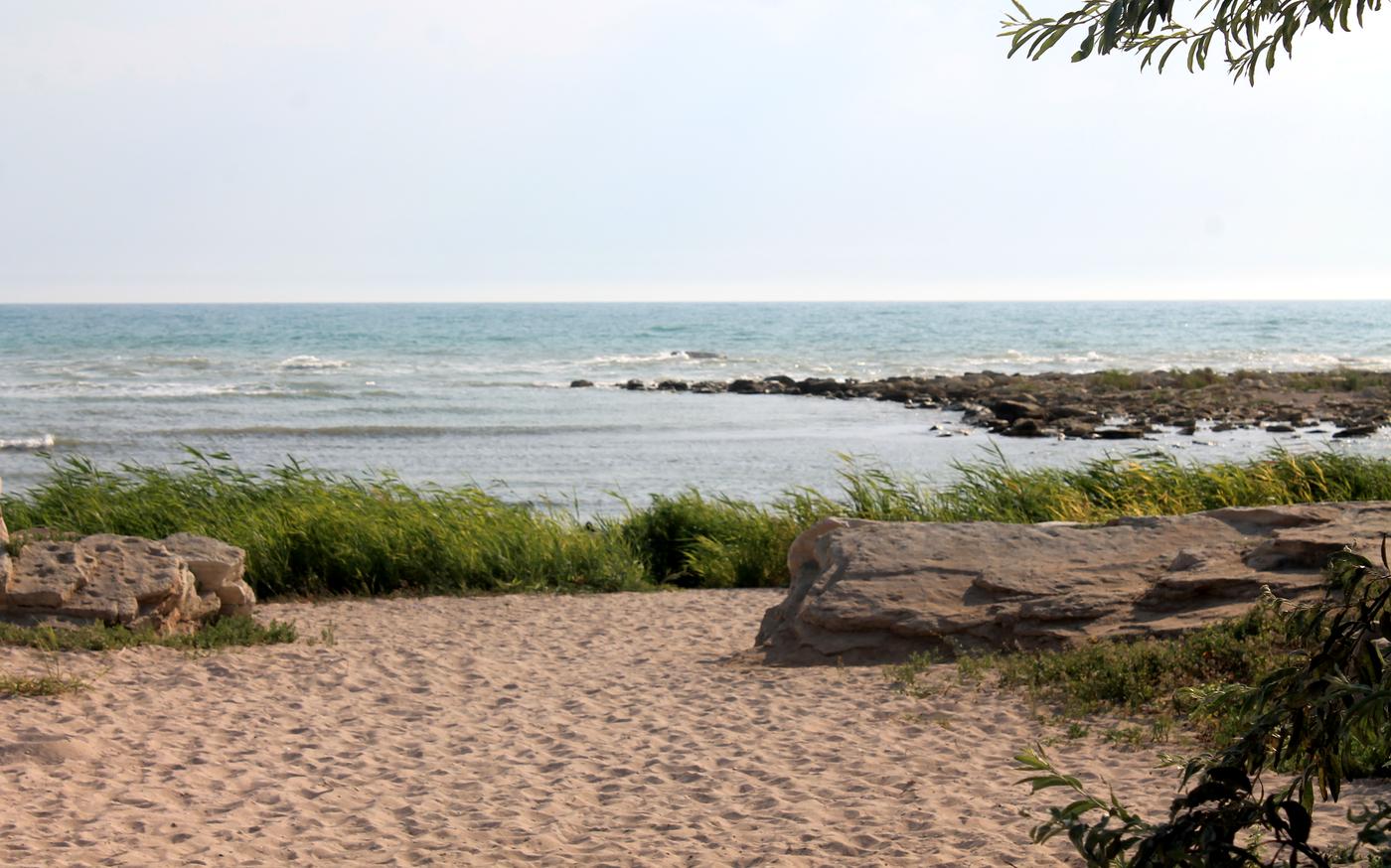 Актау, image of landscape/habitat.