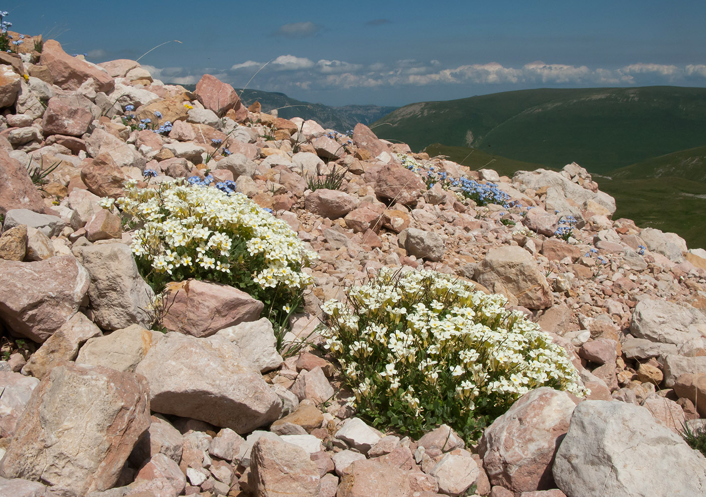 Оштен, image of landscape/habitat.