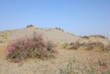 Image of landscape