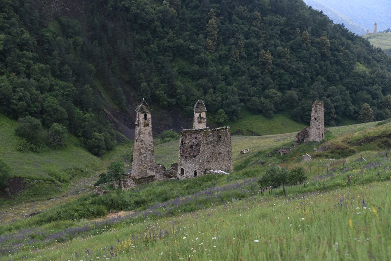 Урочище Хяни, image of landscape/habitat.