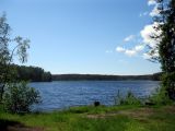Озеро Щучье (Комарово), изображение ландшафта.