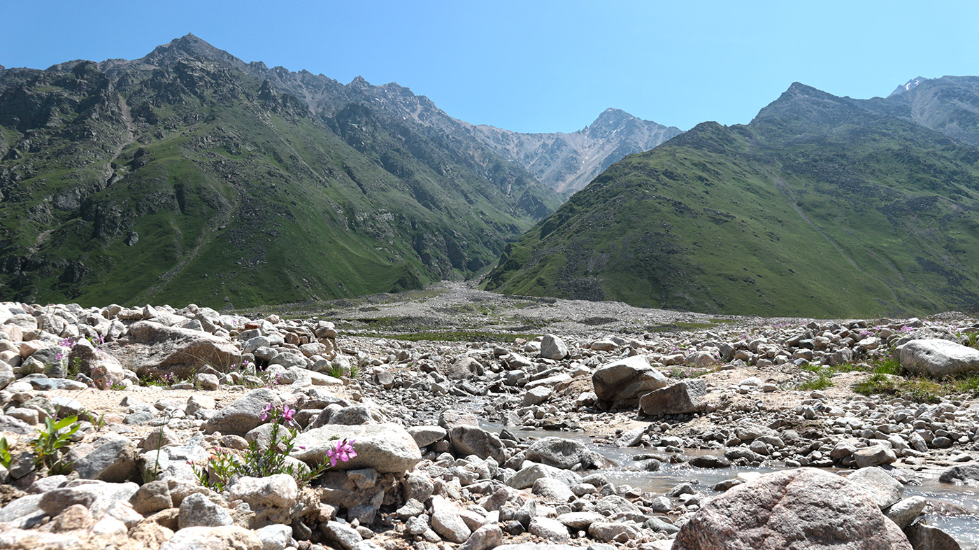 Туяла Западная, image of landscape/habitat.