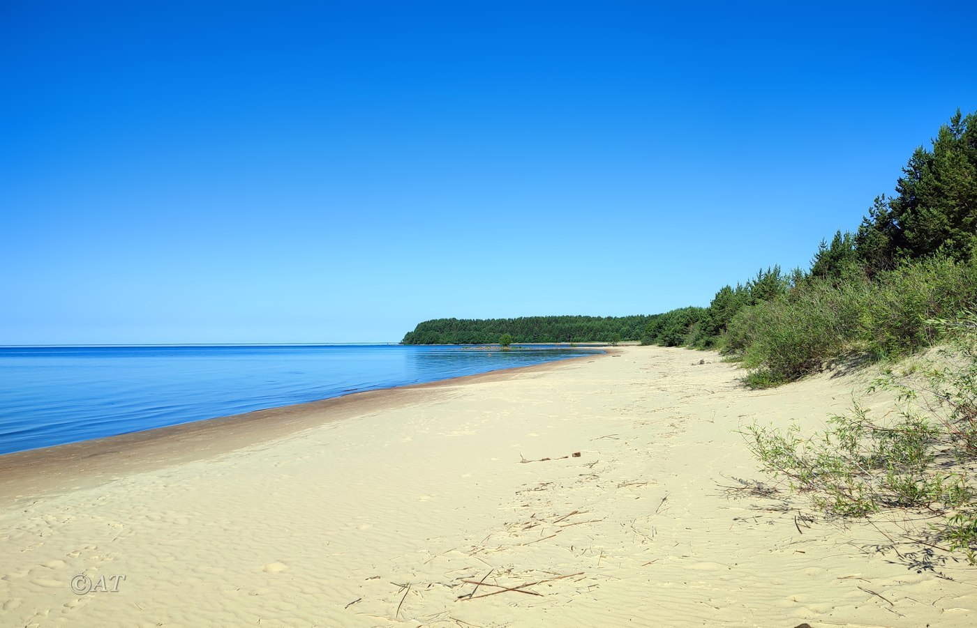 Устье Видлицы, image of landscape/habitat.