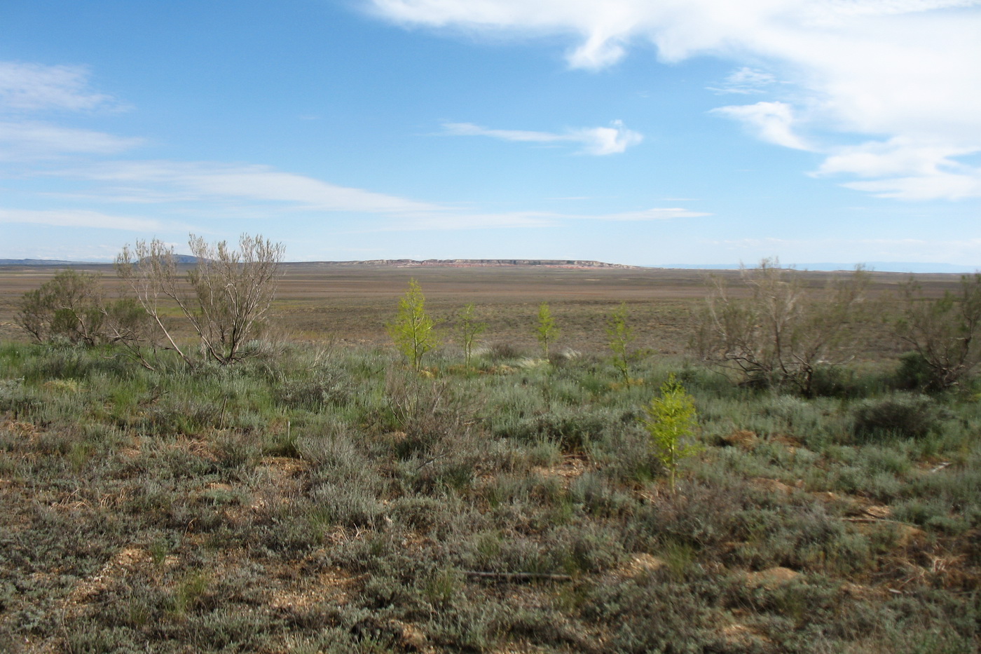 Кеин-Кериш, image of landscape/habitat.