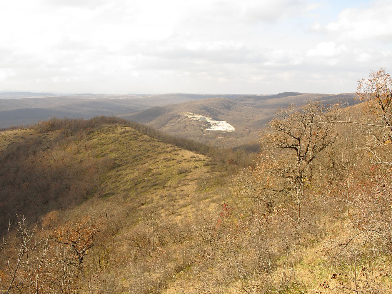 Хребет Грузинка, image of landscape/habitat.