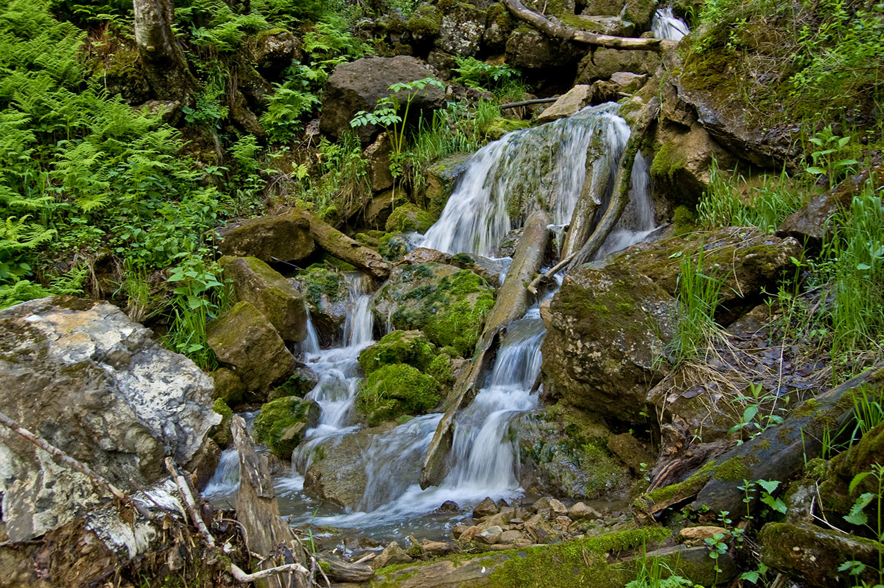 Ручей Куперля, image of landscape/habitat.