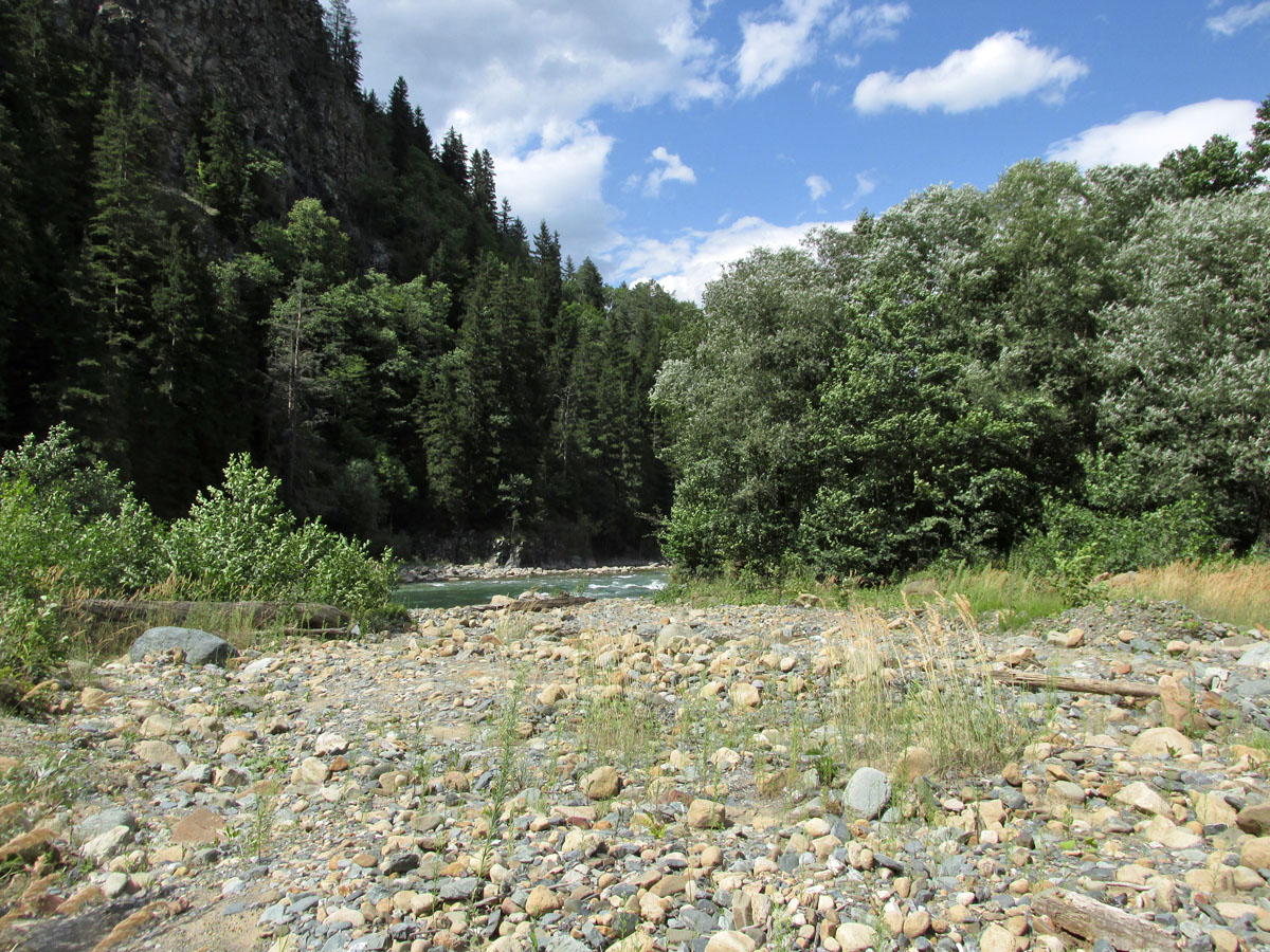 Окрестности посёлка Рожкао, image of landscape/habitat.