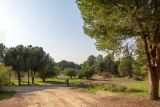 Image of landscape