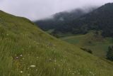 Урочище Хяни, image of landscape/habitat.