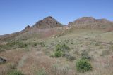 Image of landscape