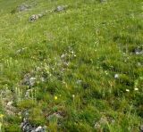 Image of landscape