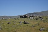 Image of landscape