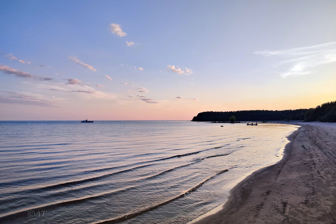 Устье Видлицы, image of landscape/habitat.