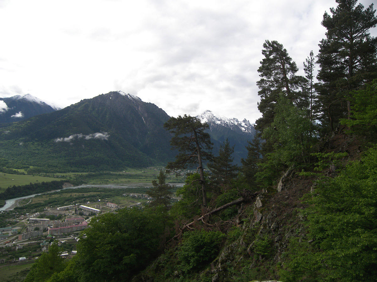 Гора Лысая, image of landscape/habitat.